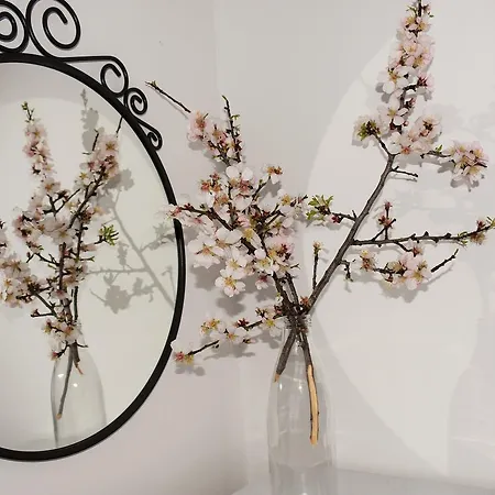 Appartamento Antonija